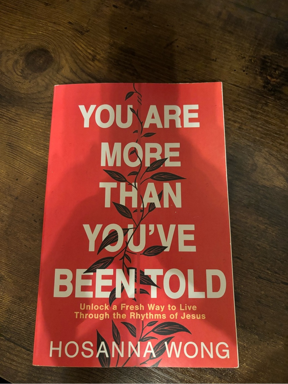 "You Are More Than You’ve Been Told" - Red Cover